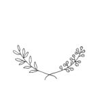 botanicals illustration